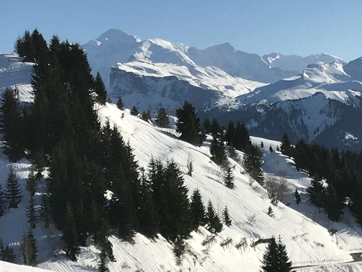 Residence Les Chardons Argentes Samoëns Eksteriør bilde