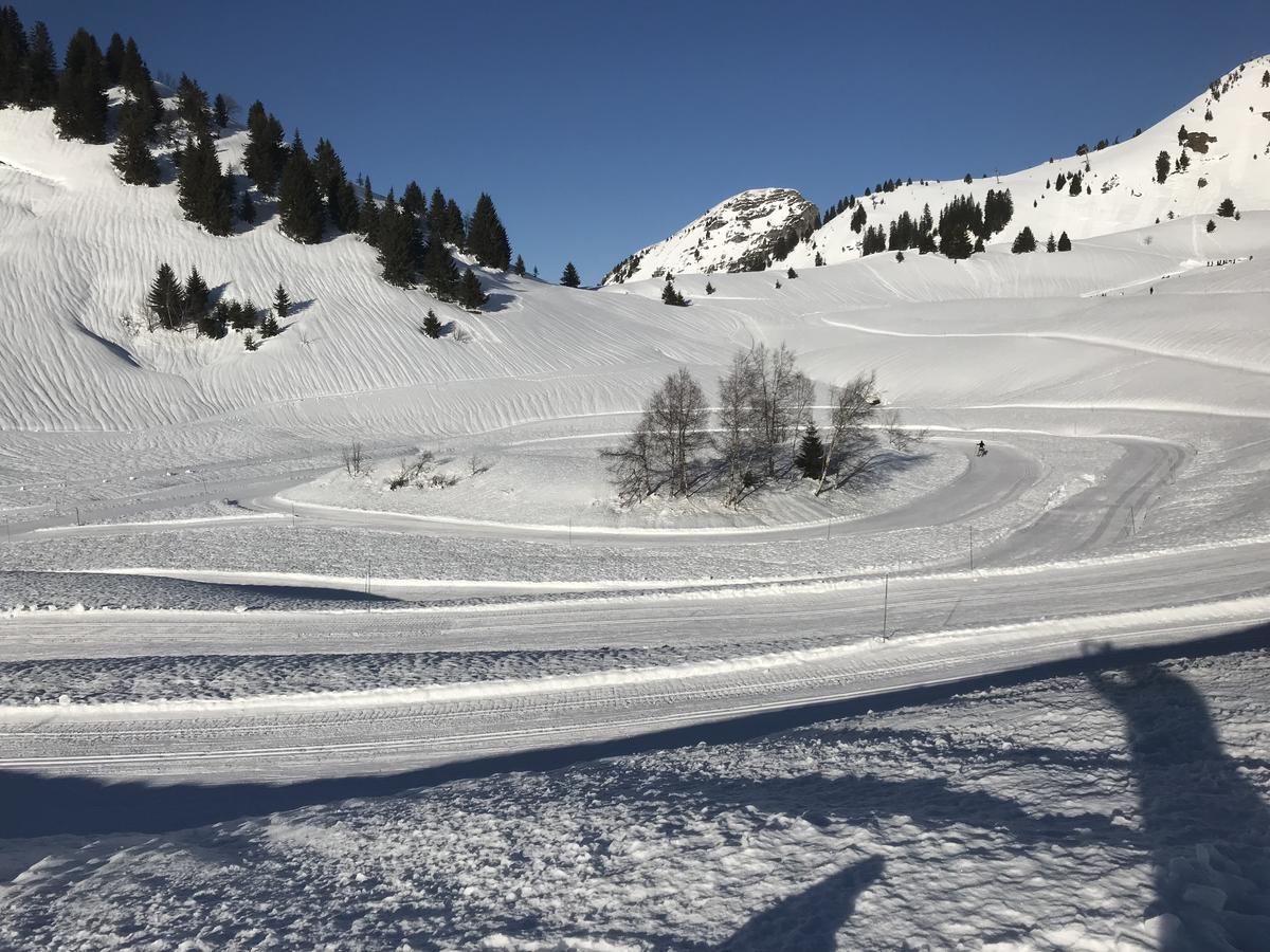 Residence Les Chardons Argentes Samoëns Eksteriør bilde